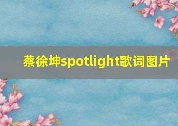 蔡徐坤spotlight歌词图片