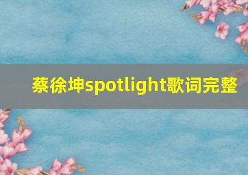 蔡徐坤spotlight歌词完整