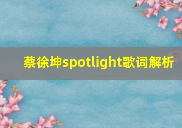 蔡徐坤spotlight歌词解析