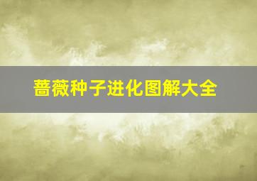 蔷薇种子进化图解大全