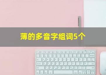 薄的多音字组词5个