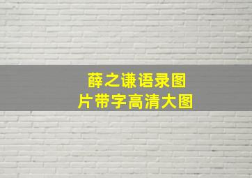 薛之谦语录图片带字高清大图