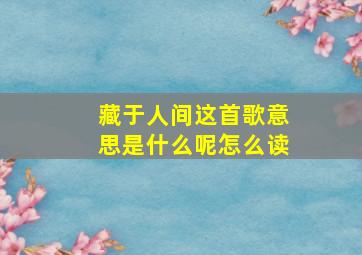 藏于人间这首歌意思是什么呢怎么读