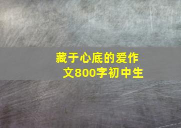 藏于心底的爱作文800字初中生