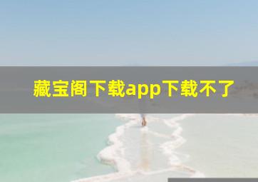 藏宝阁下载app下载不了