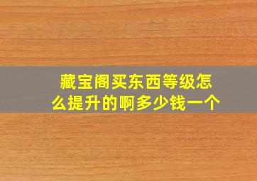 藏宝阁买东西等级怎么提升的啊多少钱一个