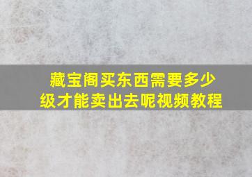 藏宝阁买东西需要多少级才能卖出去呢视频教程