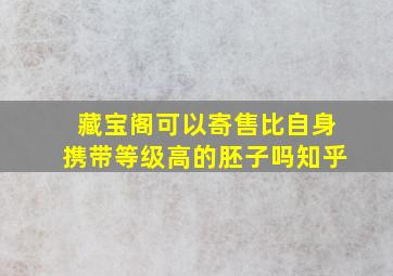 藏宝阁可以寄售比自身携带等级高的胚子吗知乎