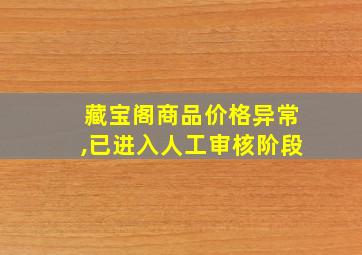 藏宝阁商品价格异常,已进入人工审核阶段