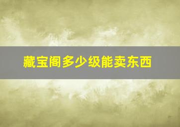 藏宝阁多少级能卖东西