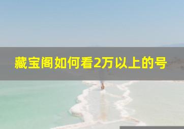 藏宝阁如何看2万以上的号