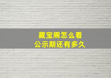 藏宝阁怎么看公示期还有多久