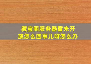 藏宝阁服务器暂未开放怎么回事儿呀怎么办