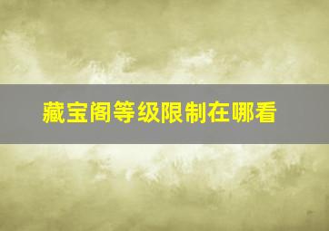 藏宝阁等级限制在哪看