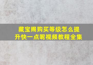 藏宝阁购买等级怎么提升快一点呢视频教程全集