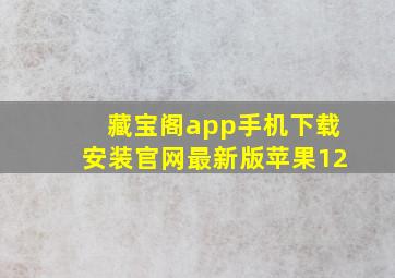 藏宝阁app手机下载安装官网最新版苹果12