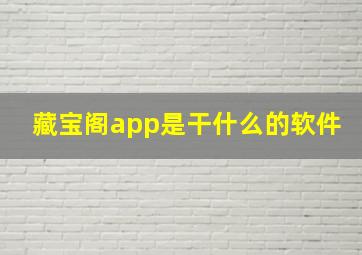 藏宝阁app是干什么的软件