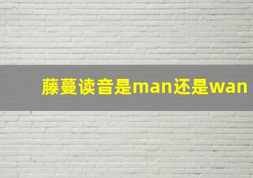 藤蔓读音是man还是wan