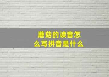 蘑菇的读音怎么写拼音是什么