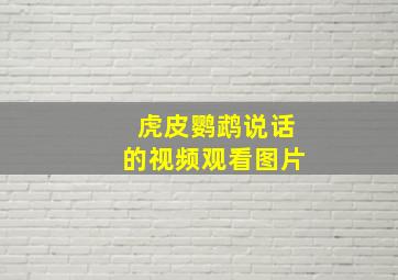 虎皮鹦鹉说话的视频观看图片