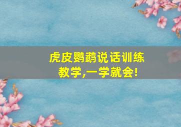 虎皮鹦鹉说话训练教学,一学就会!