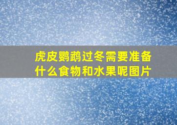 虎皮鹦鹉过冬需要准备什么食物和水果呢图片