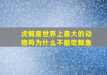 虎鲸是世界上最大的动物吗为什么不能吃鲸鱼