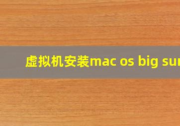 虚拟机安装mac os big sur