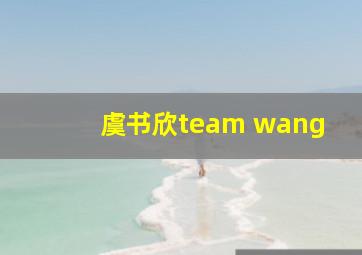 虞书欣team wang