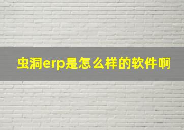 虫洞erp是怎么样的软件啊