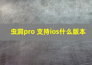 虫洞pro 支持ios什么版本