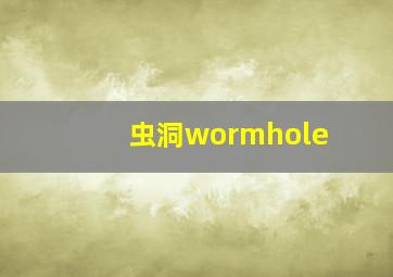 虫洞wormhole