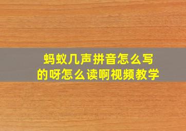 蚂蚁几声拼音怎么写的呀怎么读啊视频教学