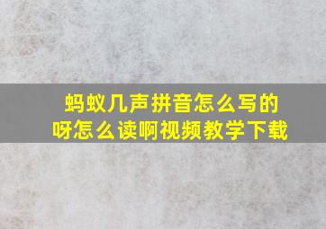 蚂蚁几声拼音怎么写的呀怎么读啊视频教学下载