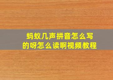 蚂蚁几声拼音怎么写的呀怎么读啊视频教程