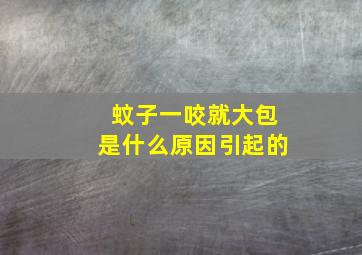 蚊子一咬就大包是什么原因引起的