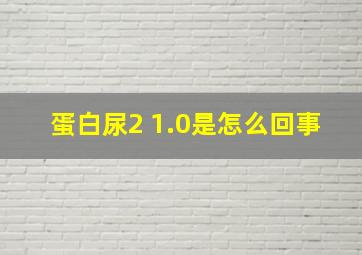 蛋白尿2+1.0是怎么回事