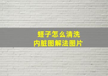 蛏子怎么清洗内脏图解法图片