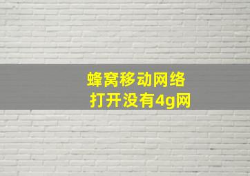 蜂窝移动网络打开没有4g网