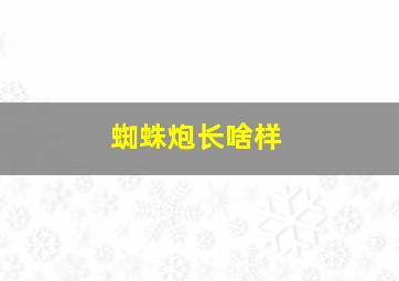 蜘蛛炮长啥样