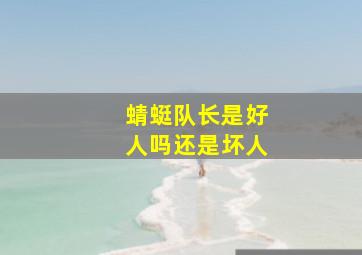 蜻蜓队长是好人吗还是坏人