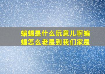 蝙蝠是什么玩意儿啊蝙蝠怎么老是到我们家是