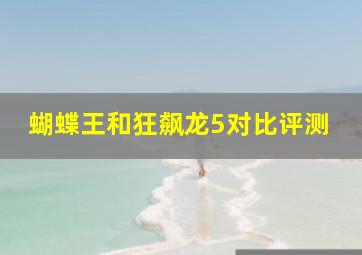 蝴蝶王和狂飙龙5对比评测