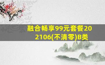 融合畅享99元套餐202106(不清零)B类