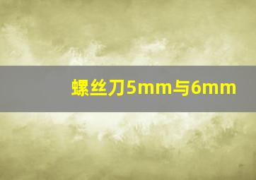 螺丝刀5mm与6mm