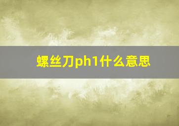 螺丝刀ph1什么意思