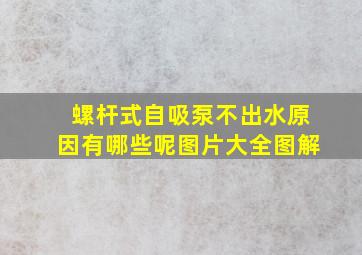 螺杆式自吸泵不出水原因有哪些呢图片大全图解