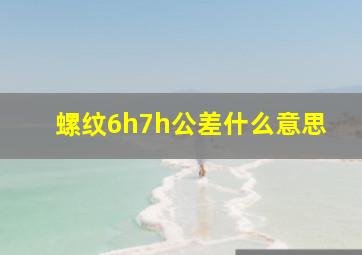 螺纹6h7h公差什么意思