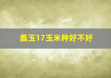 蠡玉17玉米种好不好