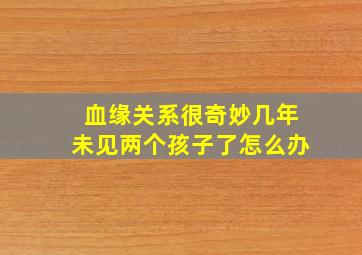 血缘关系很奇妙几年未见两个孩子了怎么办